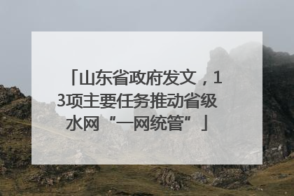 山东省政府发文，13项主要任务推动省级水网“一网统管”